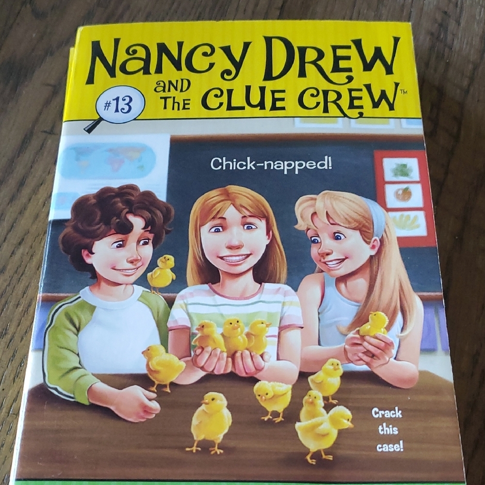 Nancy Drew and the Clue Crew Book Set - Picture 4 of 7